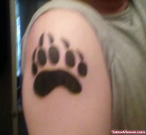 Bear Paw Tattoos On Shoulder
