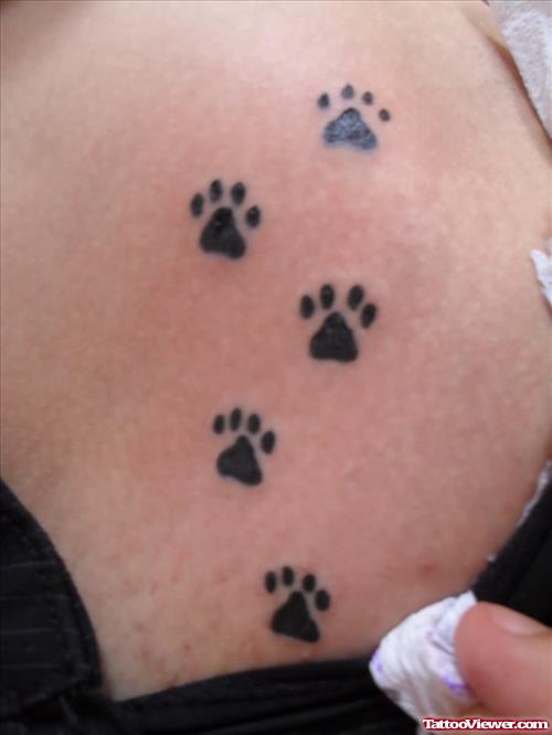 Amazing Small Paw Tattoos