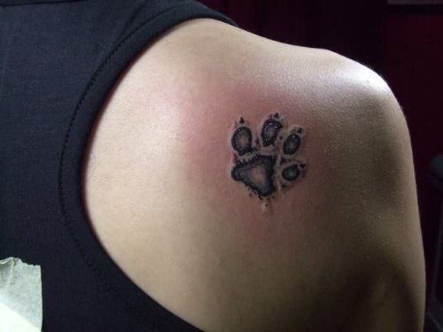Dog Paws Tattoo On Back Shoulder