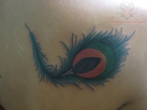 Shoulder Peacock Feather Tattoo
