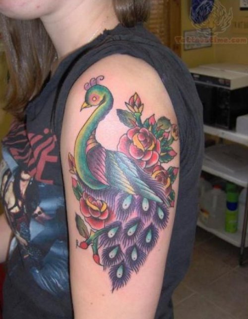 Peacock Feather Tattoos On Rose
