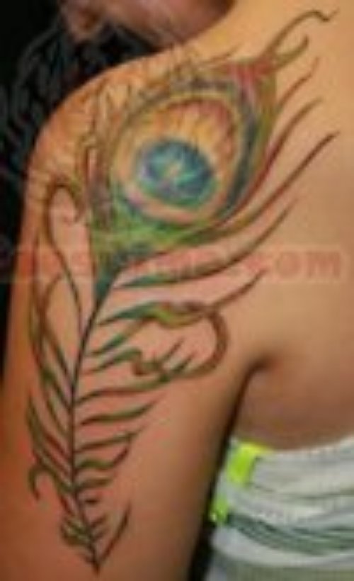 Peacock Tattoo On Shoulder And Bicep