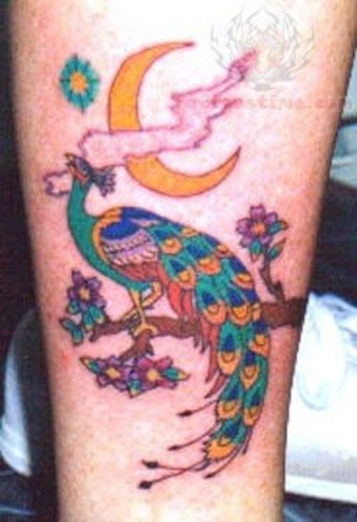 Moon And Peacock Tattoo