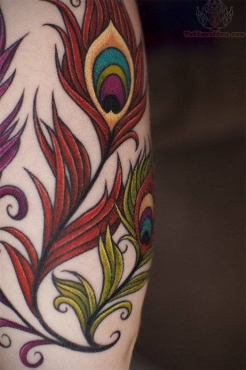 Colored Peacock Feather Tattoos