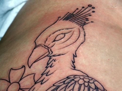 Peacock Head Outline Tattoo