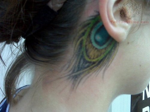 Color Peacock Feather Tattoo Behind Ear
