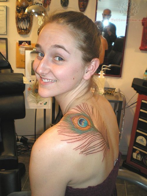 Back Shoulder Peacock Feather Tattoo