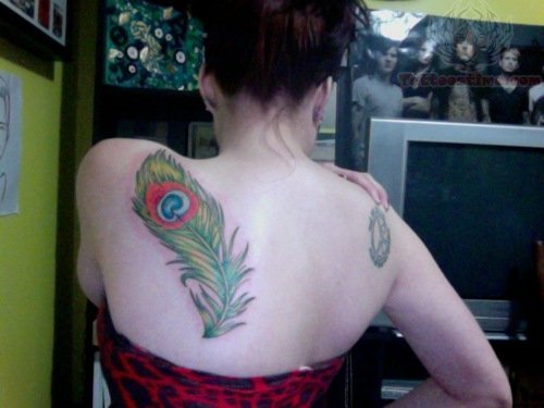 Back Shoulders Peacock Tattoo