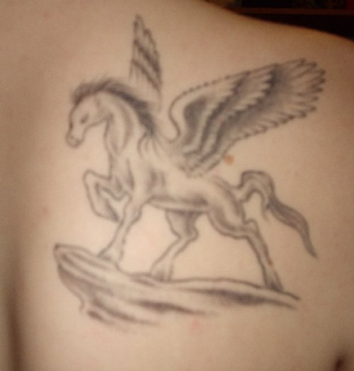 Good Grey Ink Pegasus Tattoo On Right Back Shoulder