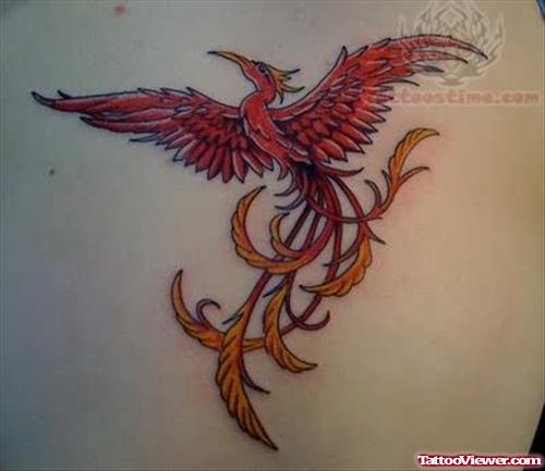 Beauty Women Phoenix Tattoos Art