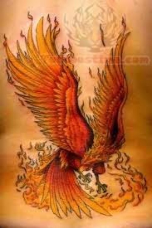 Fire Phoenix Tattoo On Back Body
