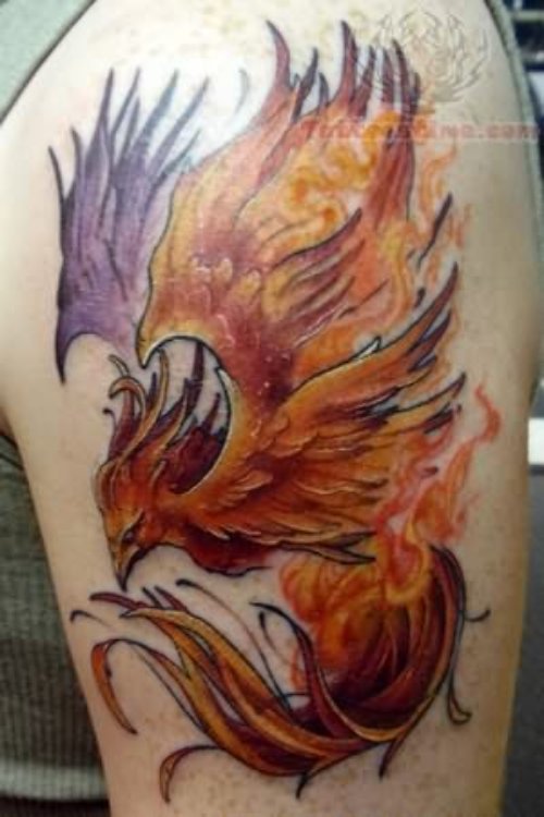 Flaming Phoenix Bird Tattoo On Shoulder