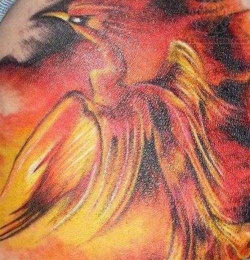 Phoenix Closeup Tattoo
