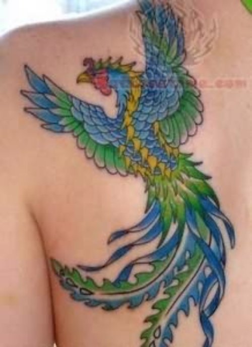 Beautiful Phoenix Tattoo Design