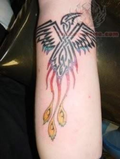 Phoenix Amazing Tattoo On Arm