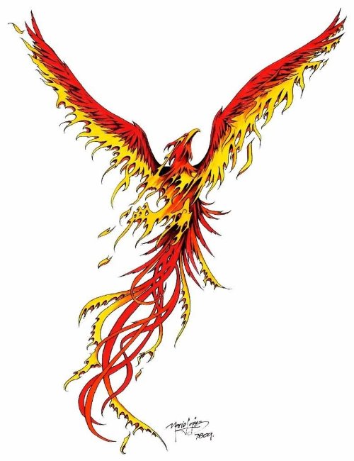 Flaming Colored Phoenix Tattoos Design