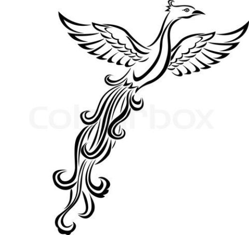Outline Flying Phoenix Tattoo Design Sample