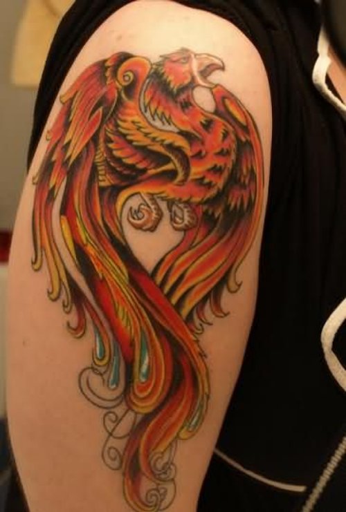 Color Ink Phoenix Tattoo On Right Shoulder