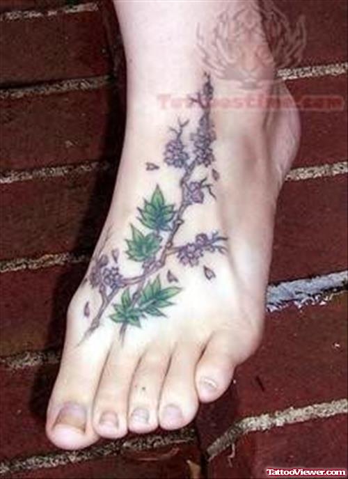 Vine Plant Tattoo On Foot