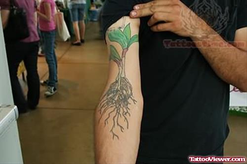 Onion Plant Tattoo On Arm