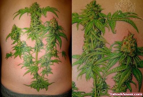 Weed Plant Tattoo