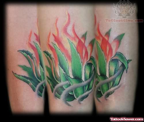Plant Tattoo Picture