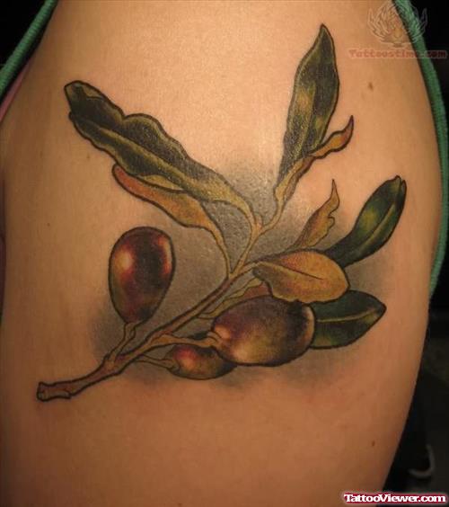 Plant  Tattoo On Sleeve