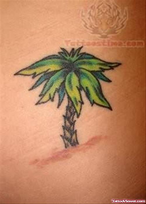 Green Plant Tattoo
