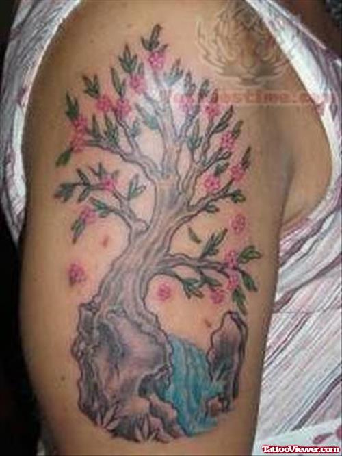Tree Tattoo On Shoulder For Girls