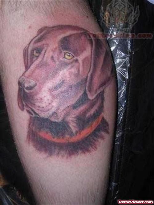 Rememberence Dog Tattoo