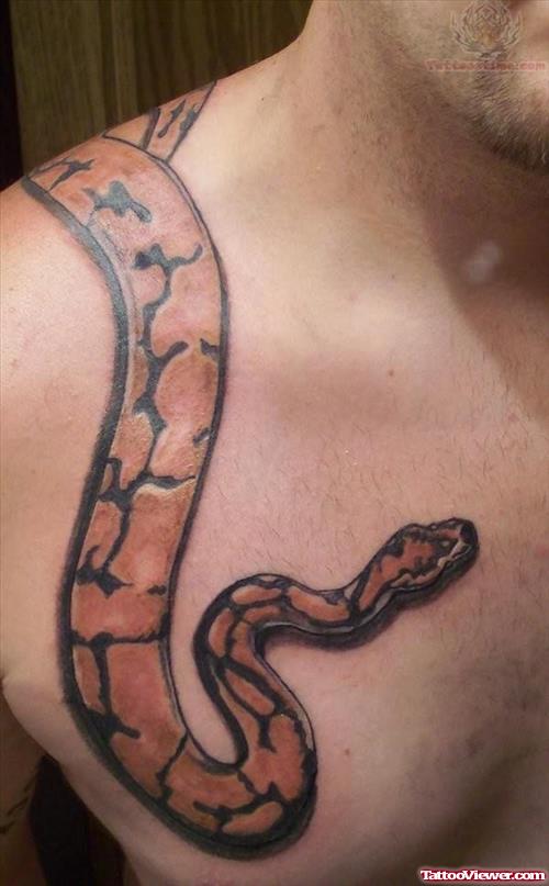 Reptile Snake Tattoo For Man