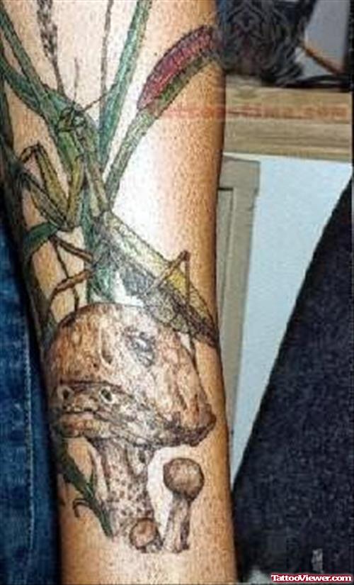 Reptile Tattoos On Arm