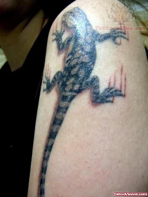 Lizard Tattoo on Arm