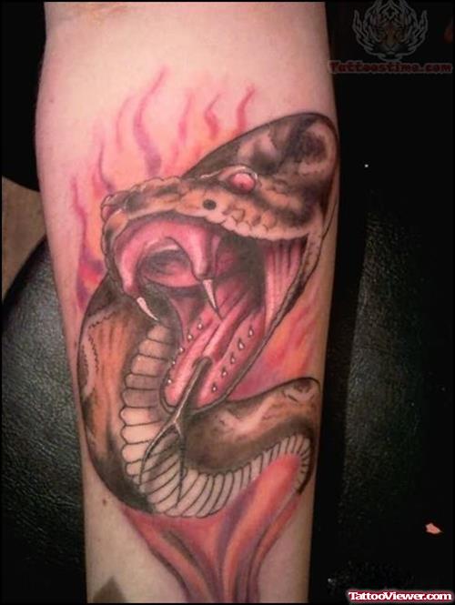 Reptile Angry Snake Tattoo