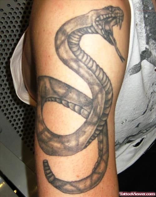 Rattle Snake - Reptile Tattoo