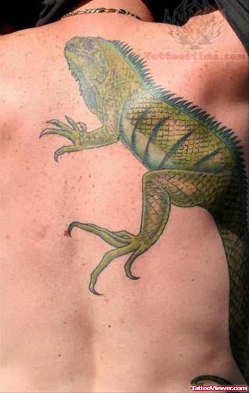 Chameleon Tattoo on Back