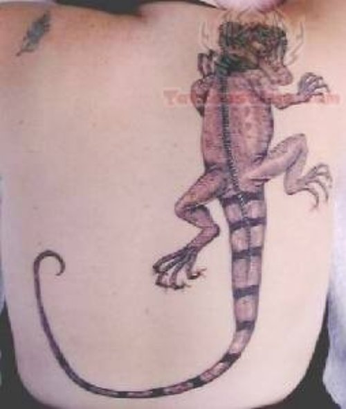 Reptile Tattoo On Back