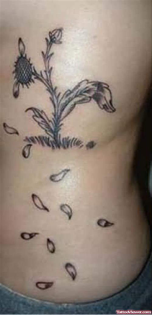 Tree Tattoo On Ribs