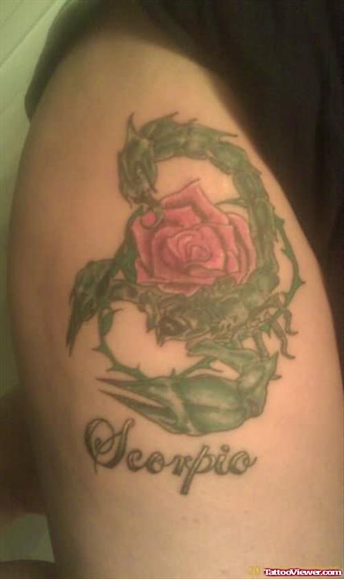 Scorpio Rose Tattoo Design