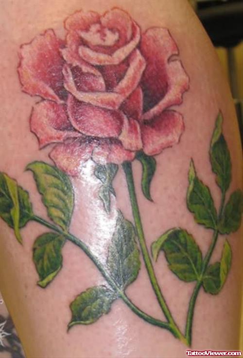 Beautiful Pink Rose Tattoo