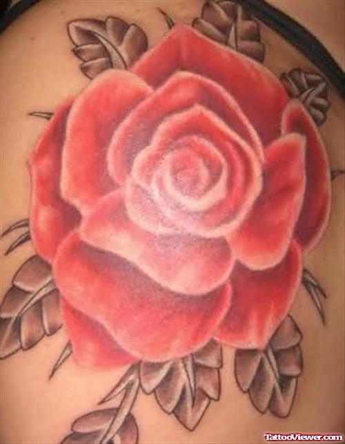 Red Rose Tattoos On Shoulder