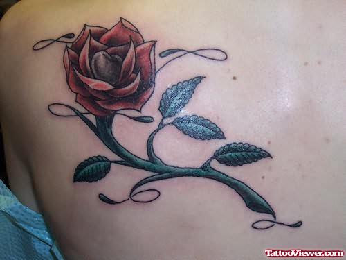 Neat Rose Tattoo On Back