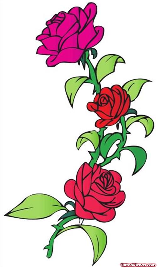 Rose  Tattoos Designs