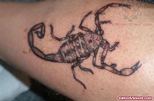 Amazing Scorpio Tattoo