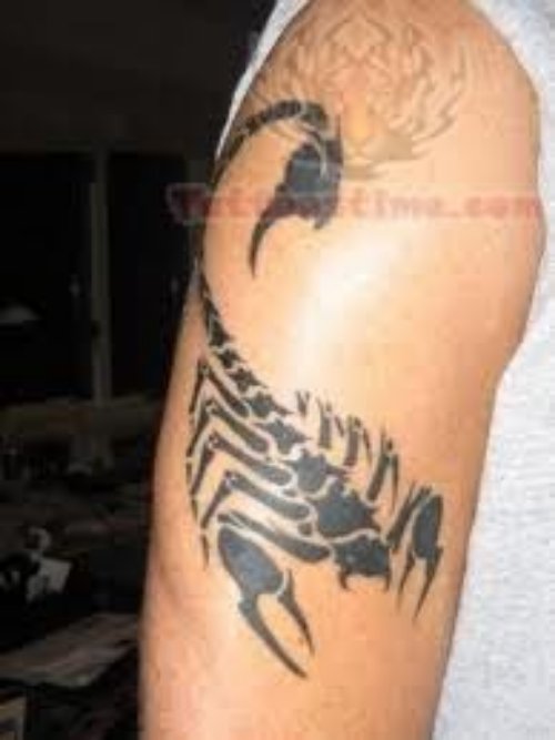 Amazing Scorpio Tattoo On Biceps