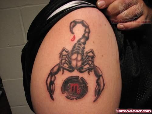Scorpion Tattoo On Man Shoulder