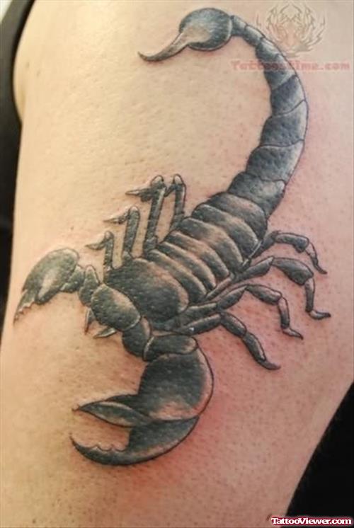 Scorpion Biceps Tattoo