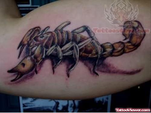Scorpion Tattoo On Muscles