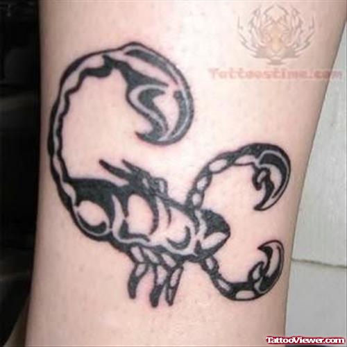Tattoo of an Elegant Scorpion