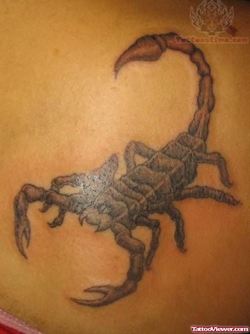 Scorpion Tattoo Picture